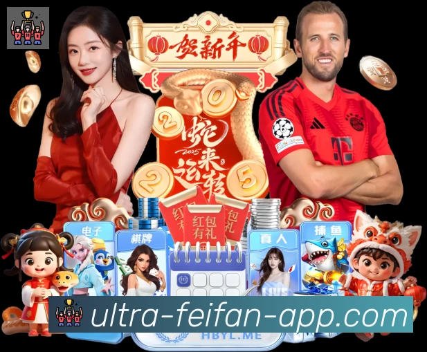 奖项证书
